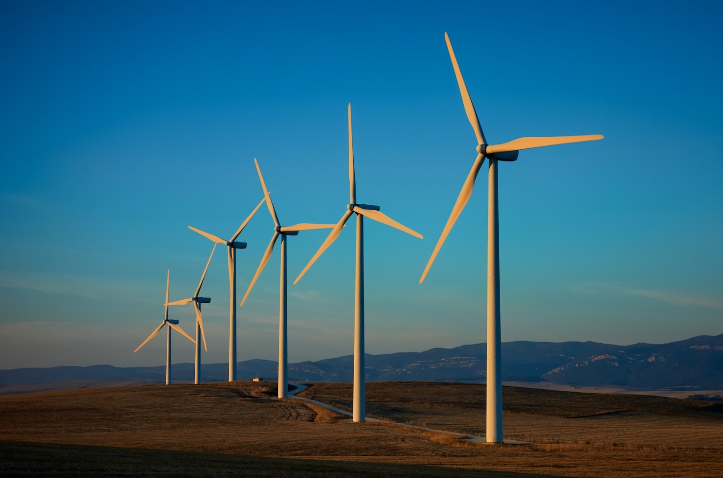 The Future of Sustainable Energy Practices